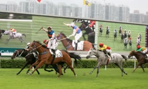 Chinh Phục Đỉnh Cao Cá Cược Đua Ngựa VF555 Cực Hấp Dẫn